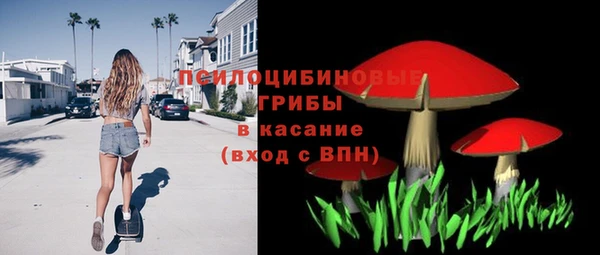 стафф Верхний Тагил